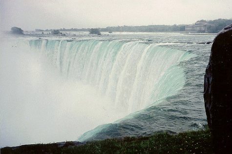 Niagra Falls Preserved-1/2/29