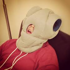 Weird Tech #2 Ostrich Pillow