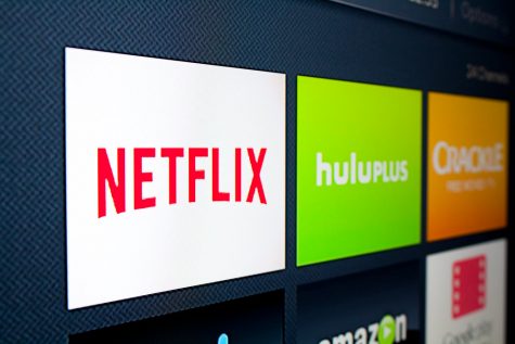 Disney + a good time: What WMS thinks about Subscription Services