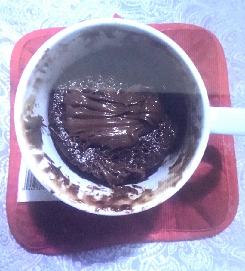 3+Ingredient+Nutella+Brownie+in+a+Mug