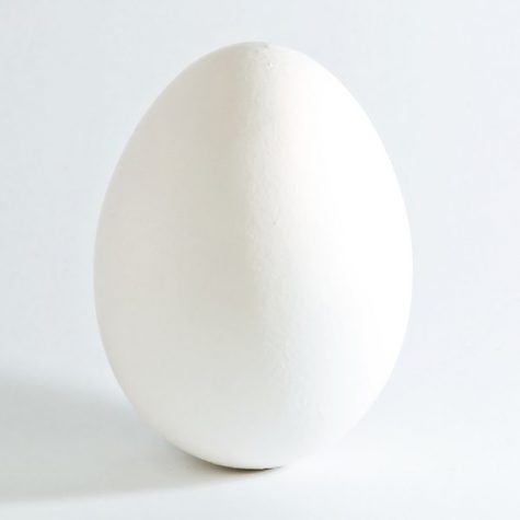 Labeled for noncommerical reuse via https://commons.wikimedia.org/wiki/File:White_chicken_egg_square.jpgunder the Creative Commons Licences.