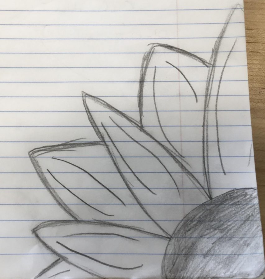 Drawing of a sunflower 