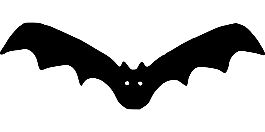 Photo via https://pixabay.com/vectors/bat-vampire-cartoon-halloween-36252/ under the Creative Commons Liscense