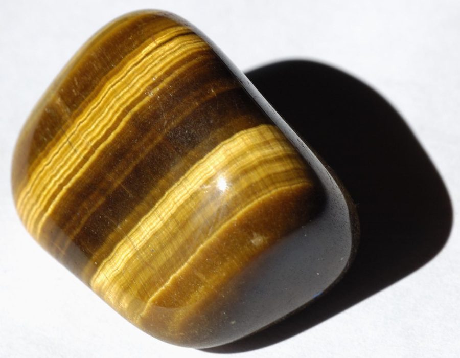 Photo via https://commons.wikimedia.org/wiki/File:2010_-_tigers_eye.jpg under the Creative Commons License.