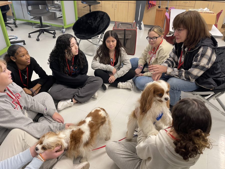 FURRY FRIENDS: Journalism students gather around to play with Bandit and Molly.