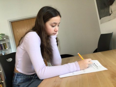 LESS TESTS LESS STRESS: A student at WMS struggles to do her school work because she doesnt see how this will help her future.