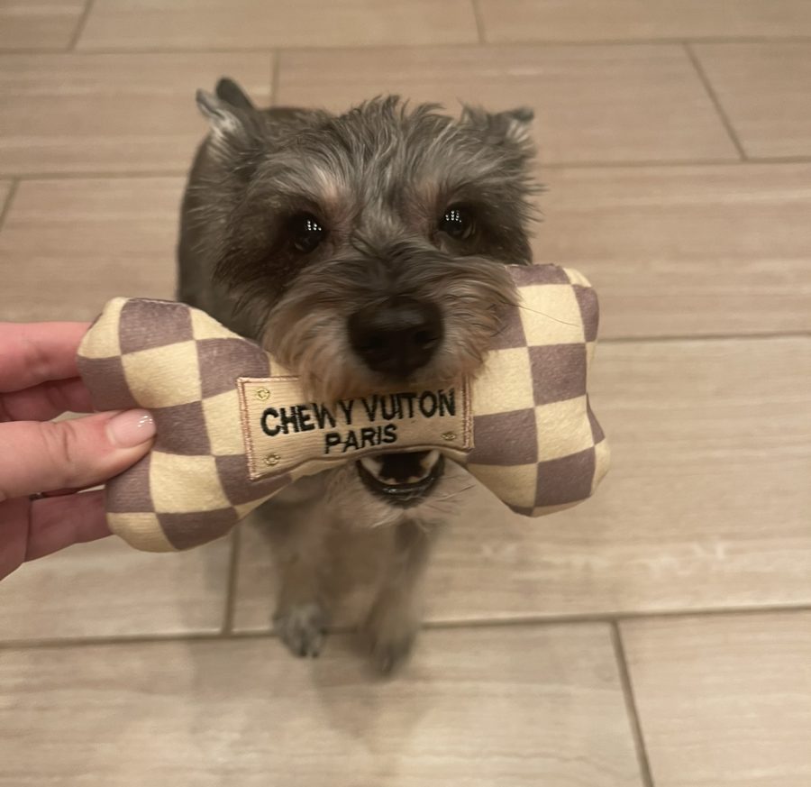 CHEWY VUITON: Colonel Forbin shows us her favorite toy