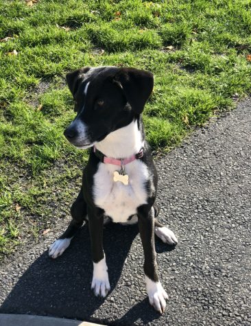 MEET CHLOE: Chloe pauses to take a pic