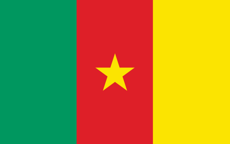 Photo via https://www.britannica.com/topic/flag-of-Cameroon under the Creative Commons License