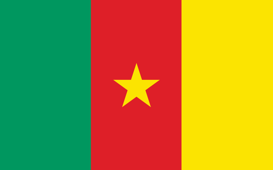 Photo via https://www.britannica.com/topic/flag-of-Cameroon under the Creative Commons License