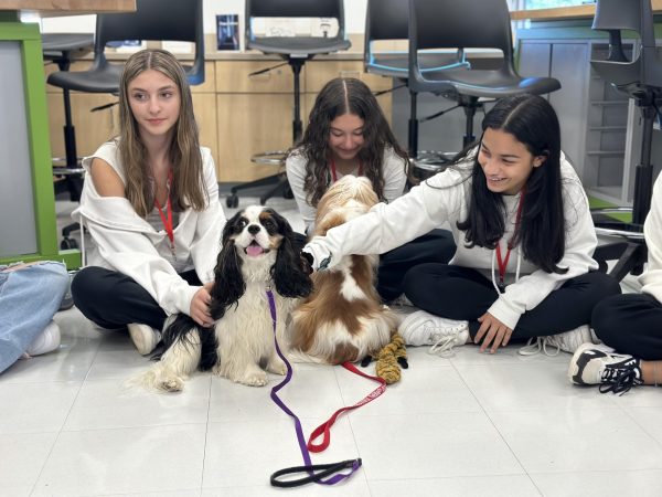 Olivia P, Paityn C, Samantha M spend some quality time with Cooper, Mrs. Van Handels new therapy dog after their interview.