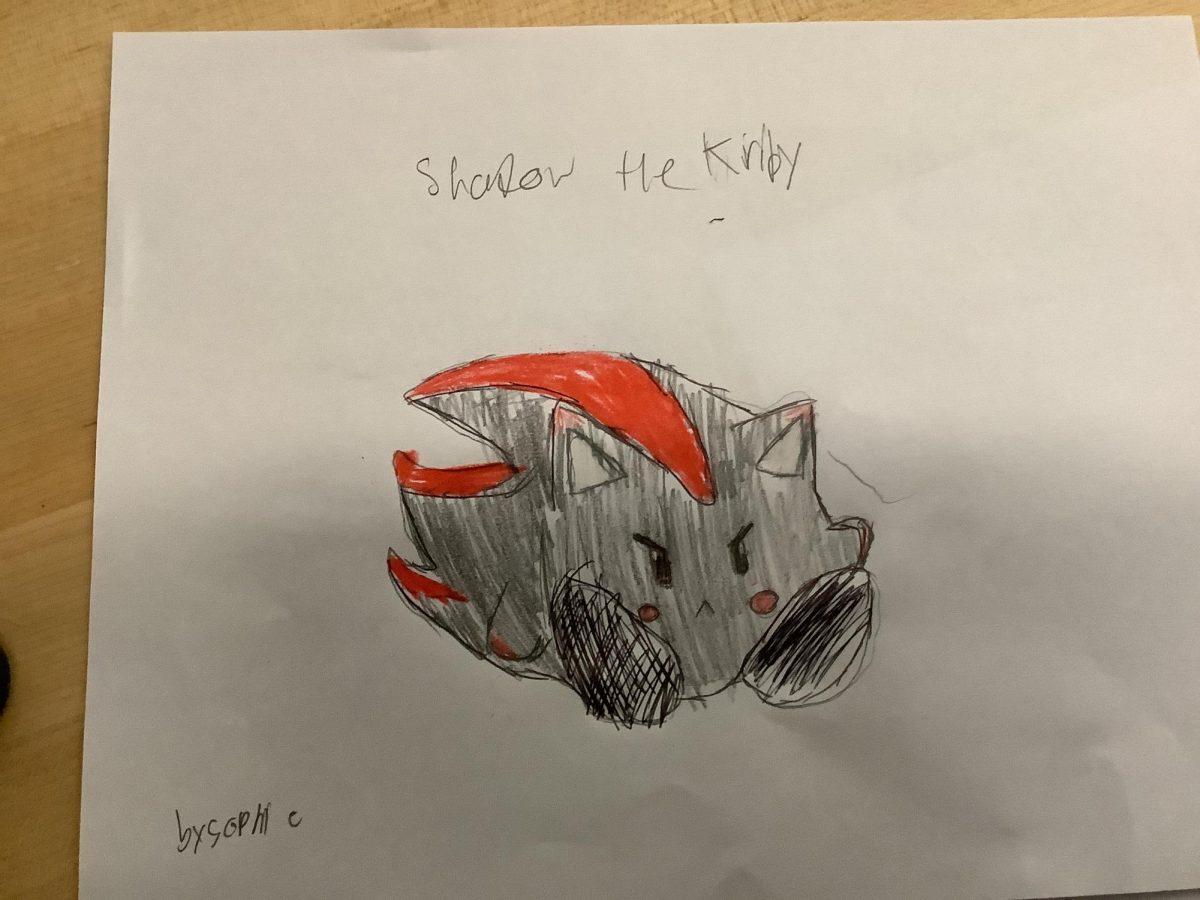 Shadow the Krby