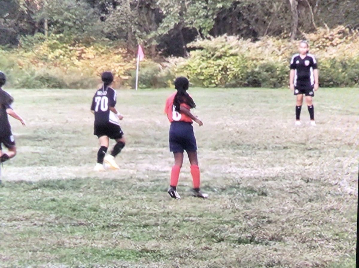 The Woodbridge Stars soccer team plays vs Franklin on Saturday last week.