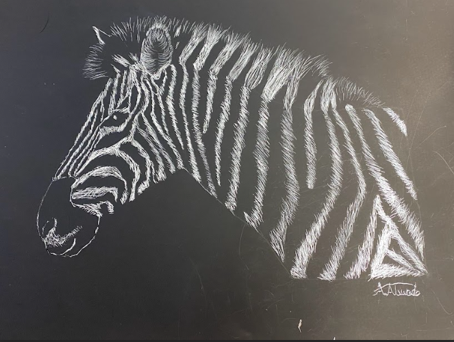 This is a zebra in scratch art form. 
