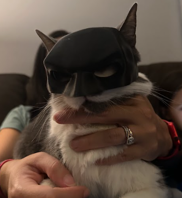 Batcat mask