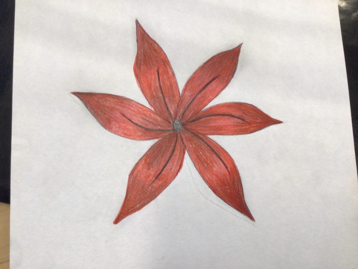 A Red Flower