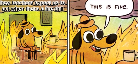 WMS Memes