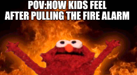 WMS Memes