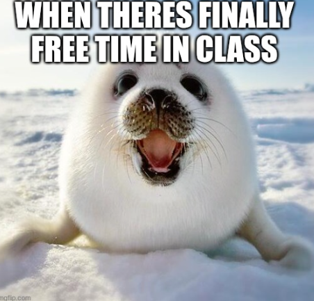 WMS Memes
