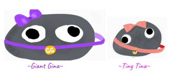 PET ROCKS~