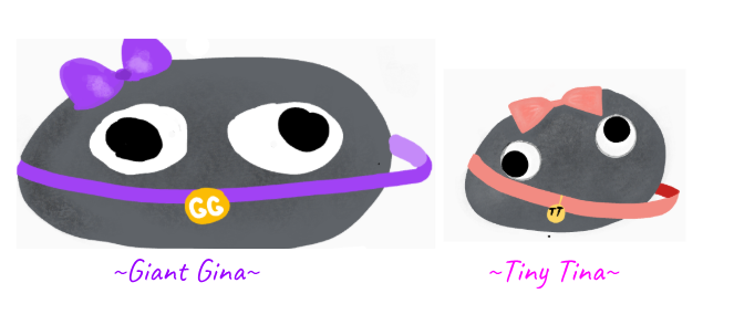 Pet Rocks