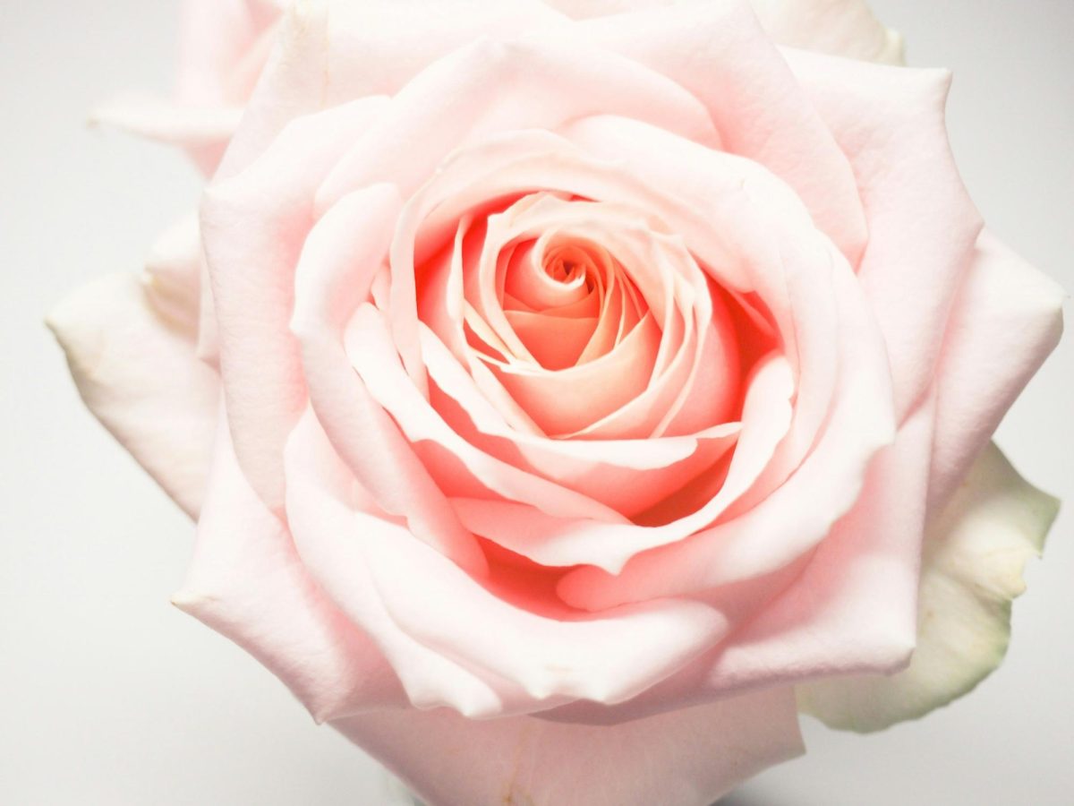 Photo via unsplash.com