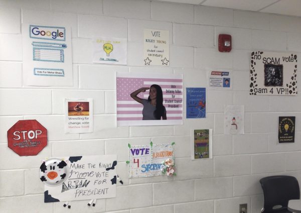 Student Council candidate posters