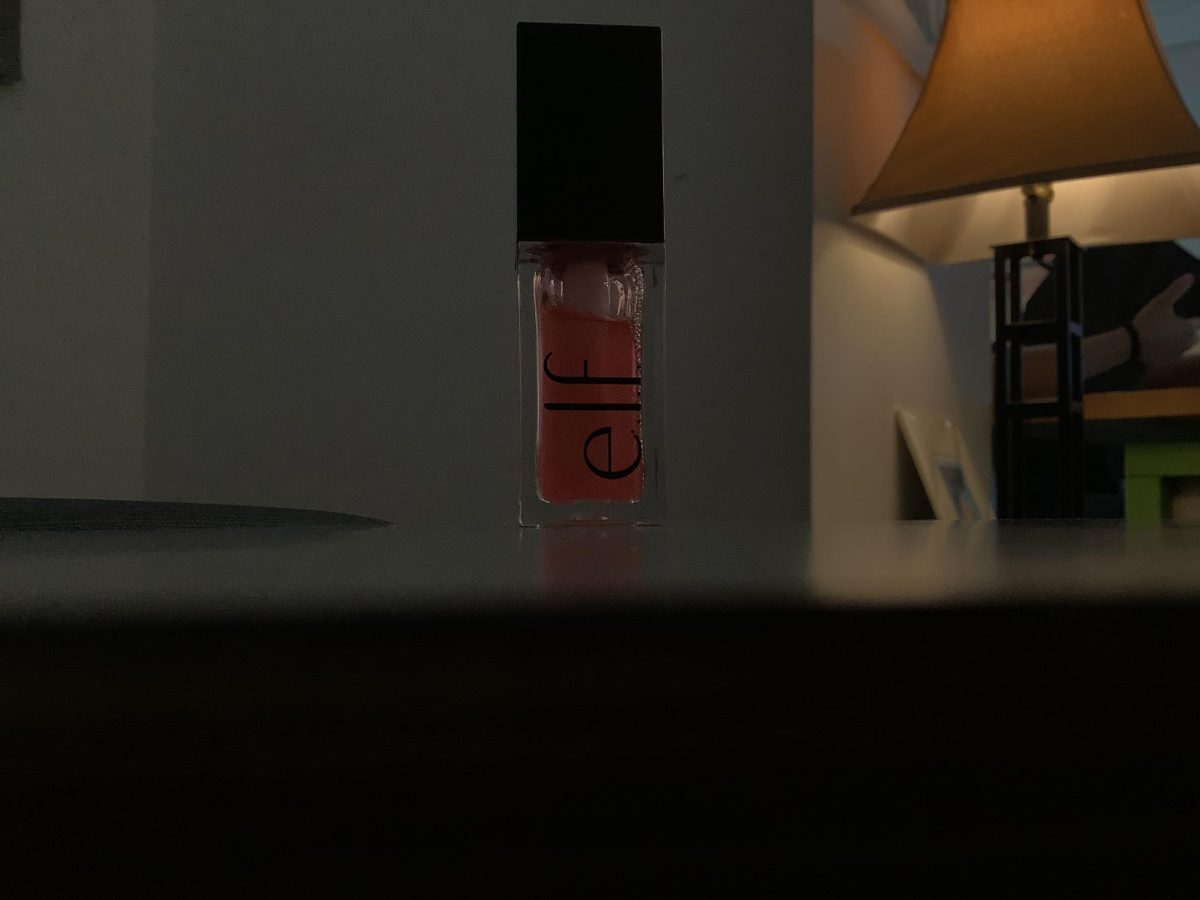 This is my favorite kind of lipgloss. In my opinion E.L.F. is the best brand of lipglosses because it keeps your lips hydrated and your lips are never dry. It’s not too sticky and not too thick and comes in different colors.
