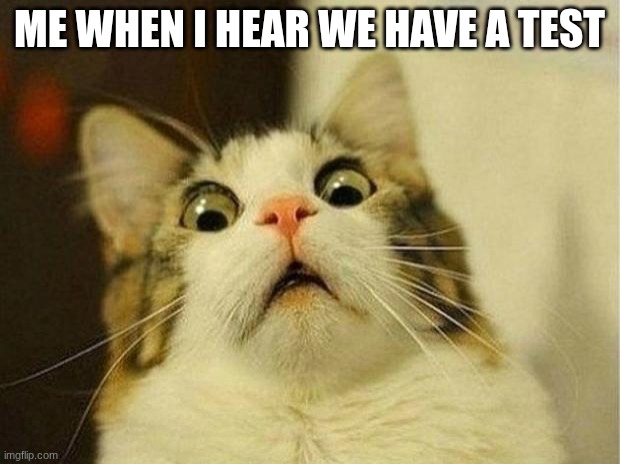 WMS MEME