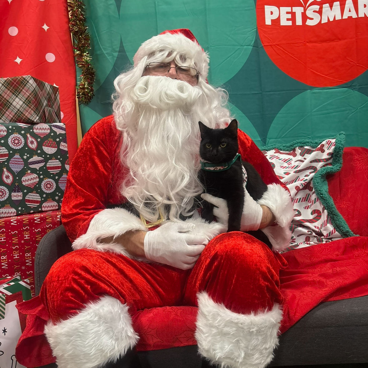 Leo poses with Santa Claus in PetSmart

