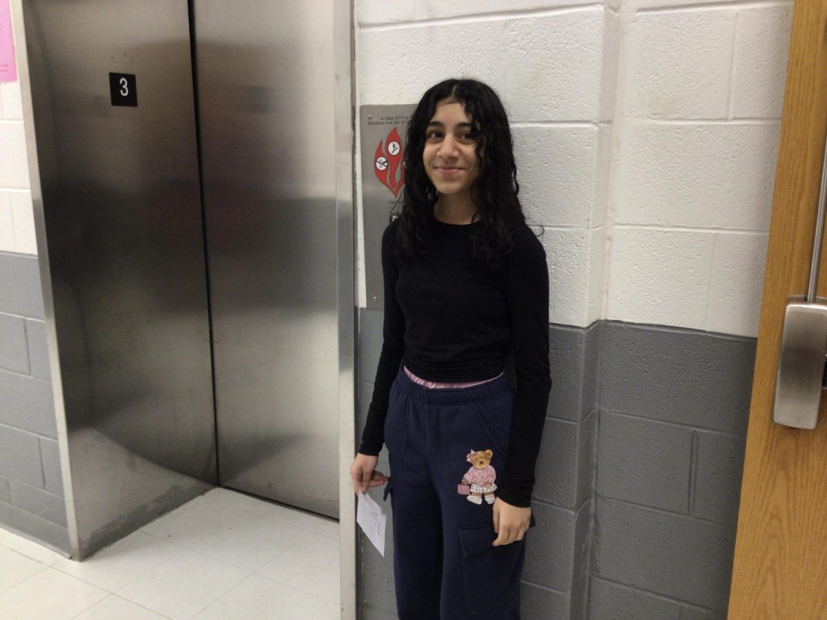 Minal Khan poses for a picture at WMS.
