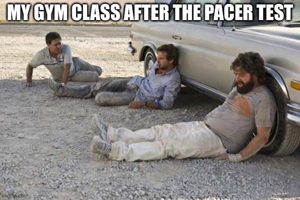 Gym Memes