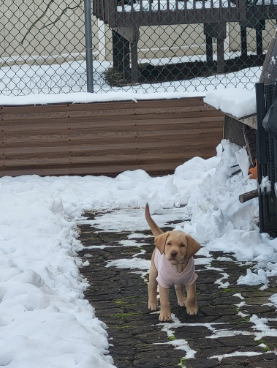 Nora walking on the sidewalk in her pink shirt, with snow all around her. 