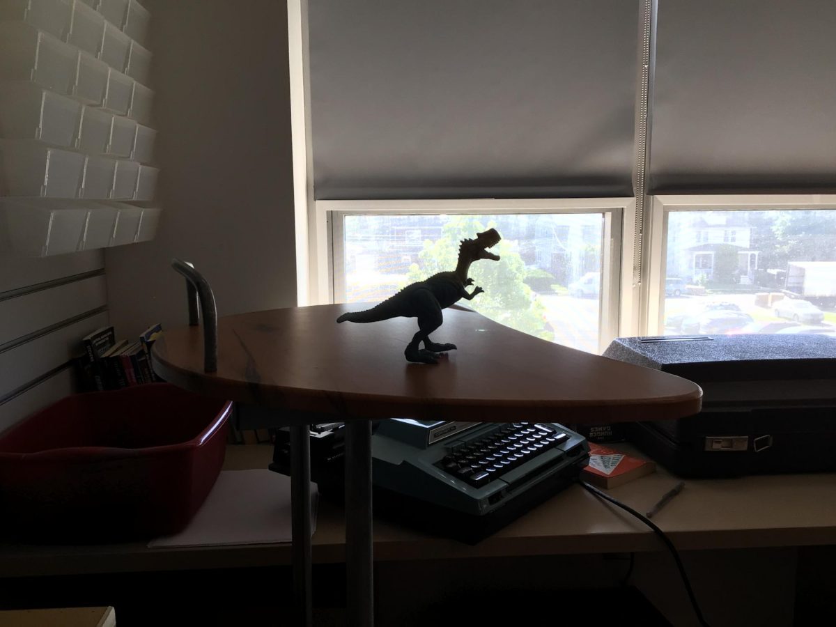 A day in the life of dinosaur WMS