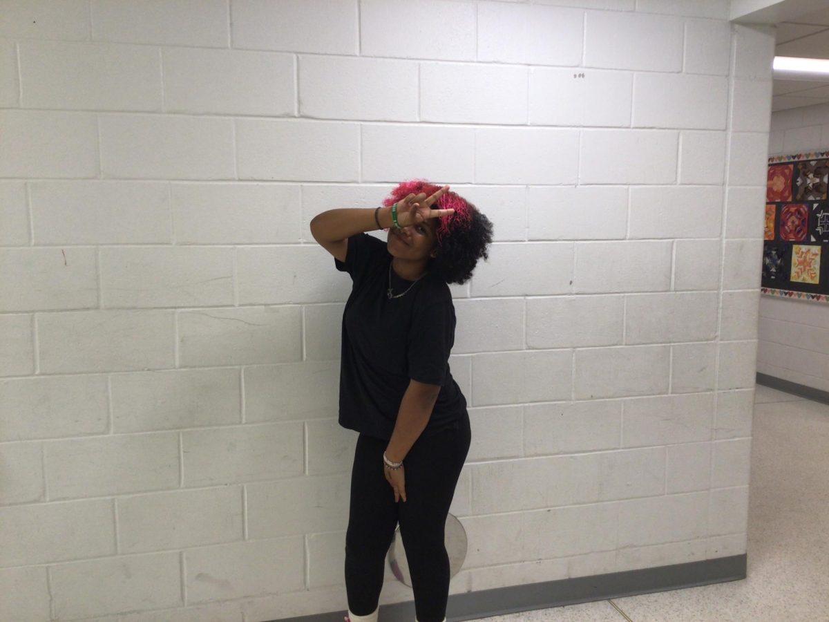 This is Daisy Hart, an 8th grader at WMS, she said she wets her hair then, uses leave in conditioner. After that she uses gel then to break the cast she uses oil.
