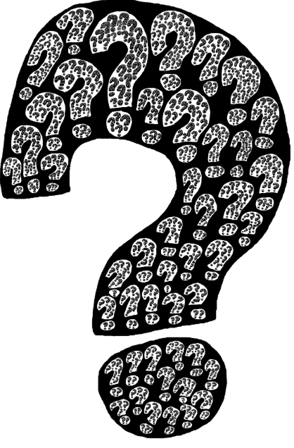 Riddle of the day