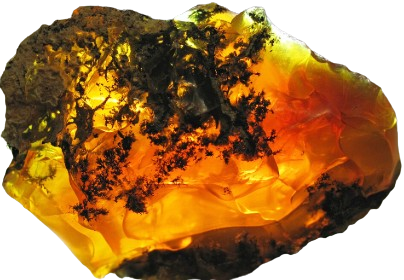 Photo from: Wikimedia Commons 