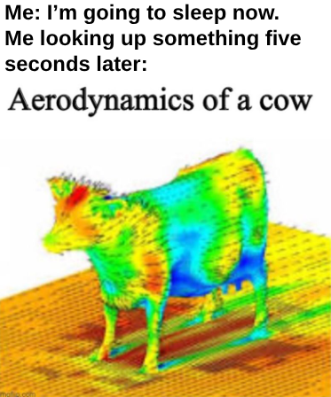 WMS Memes