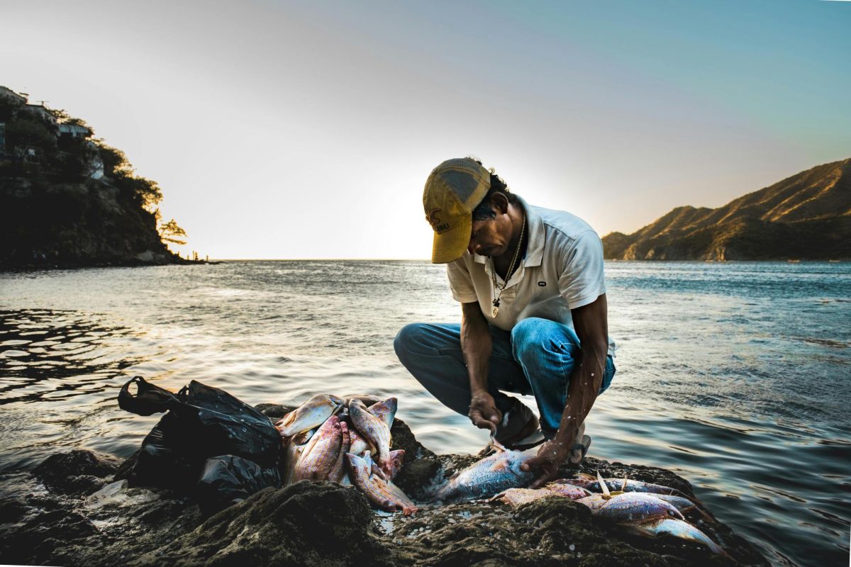 Fisherman cleans his catch, feeding many while also keeping the environment safe, clean, and healthy.